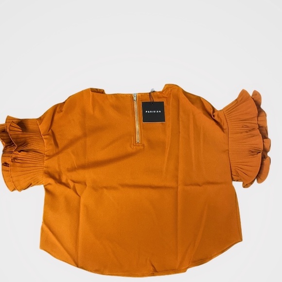 Pleated Detail Ruffle Sleeve Top-Colour-Rust - Picture 4 of 6